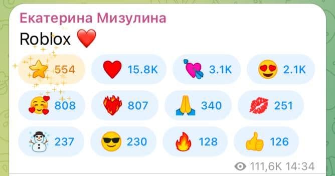 Екатерина Мизулина призналась в любви к Roblox