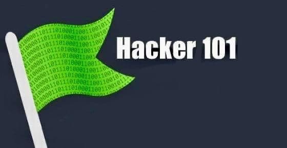 Hacker101