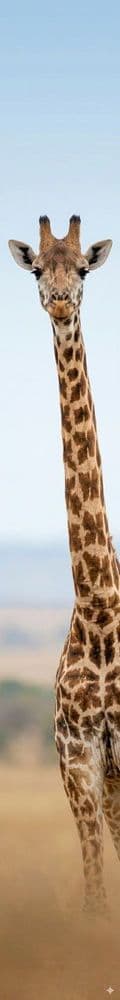 Давайте поразбираемся новой Нанабананой 2.